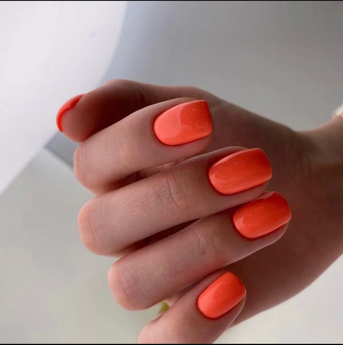 Пример работы Бьютилаб